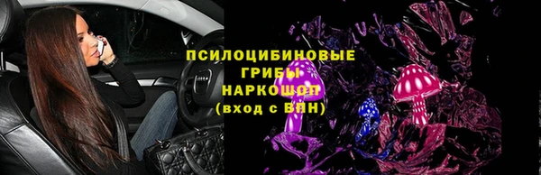 соль ск Алексеевка