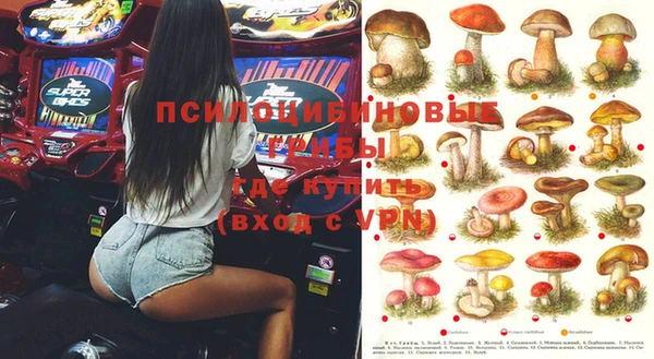 прущие крисы Абаза