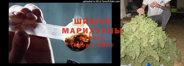 прущие крисы Абаза