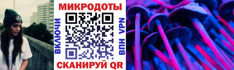 цены наркотик  Котлас  Псилоцибиновые грибы Cubensis 