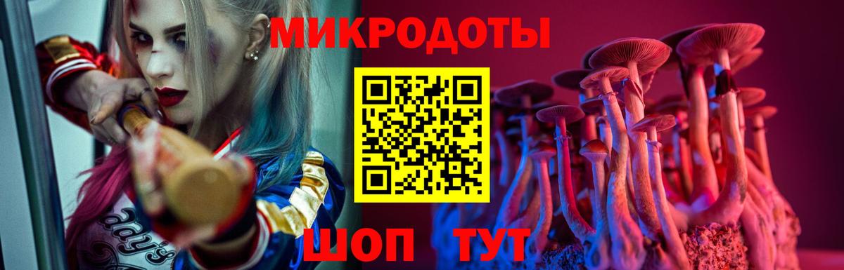 Псилоцибиновые грибы Psilocybine cubensis Котлас