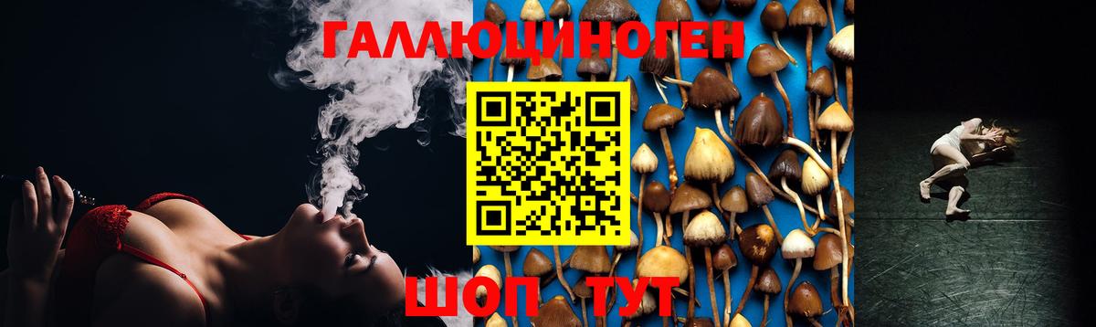 Котлас  Галлюциногенные грибы мухоморы  Вход с VPN  Галлюциногенные грибы Psilocybine cubensis 