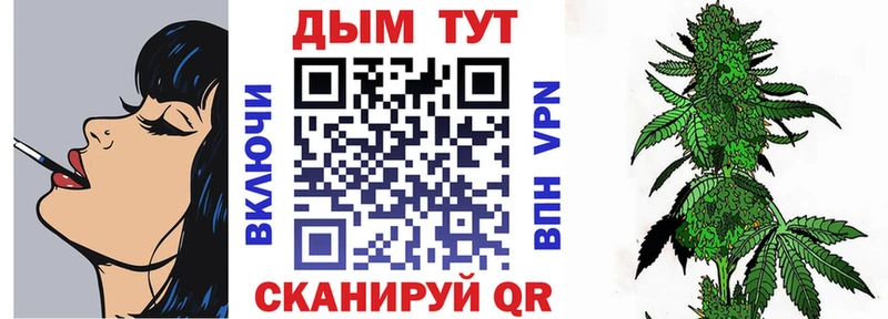 сколько стоит  Котлас  Бошки марихуана индика 